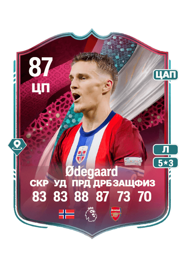 Martin Ødegaard card