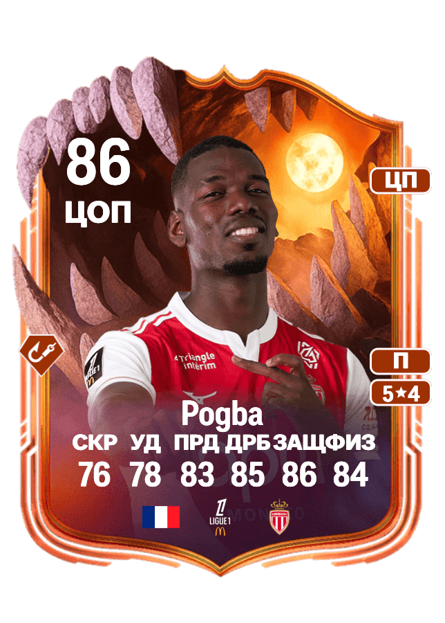 Paul Pogba card