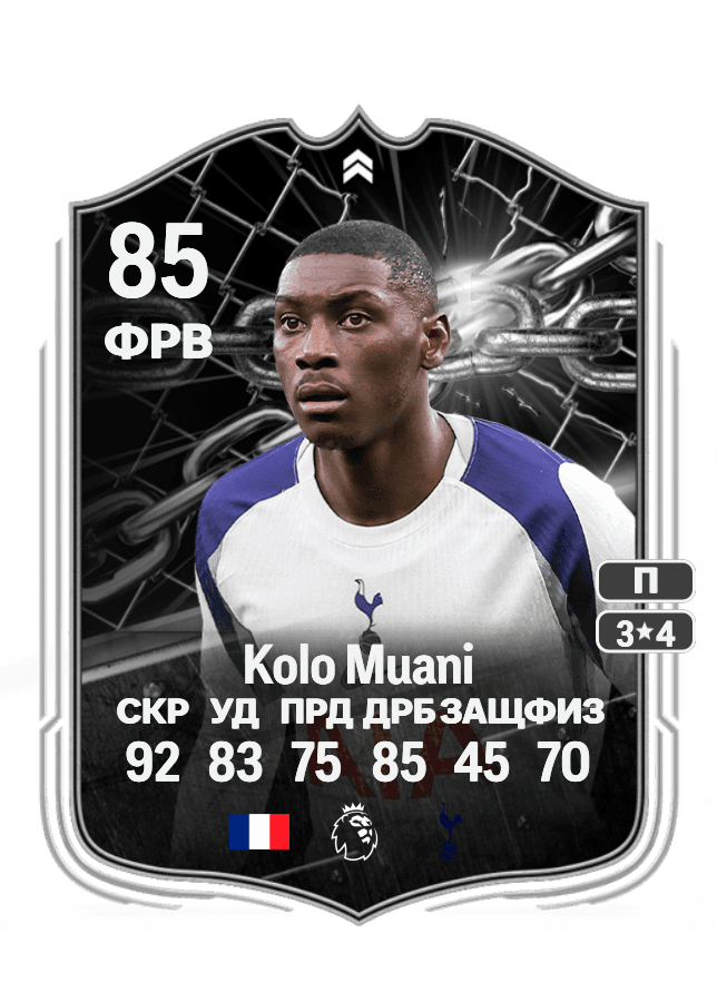 Randal Kolo Muani card