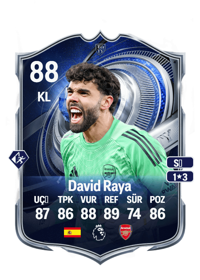 David Raya card